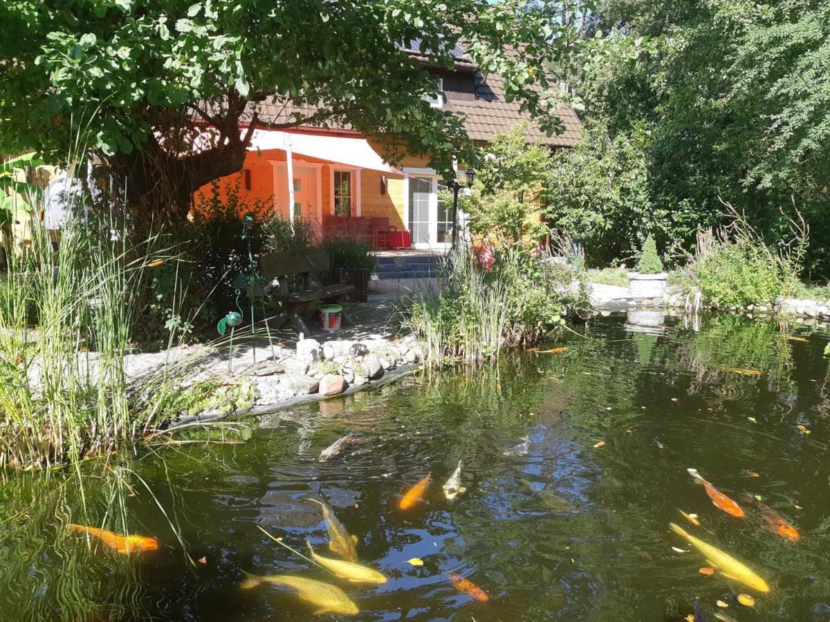 Salus Spreewald - Erholung & Natur - Kolonie  외부 사진